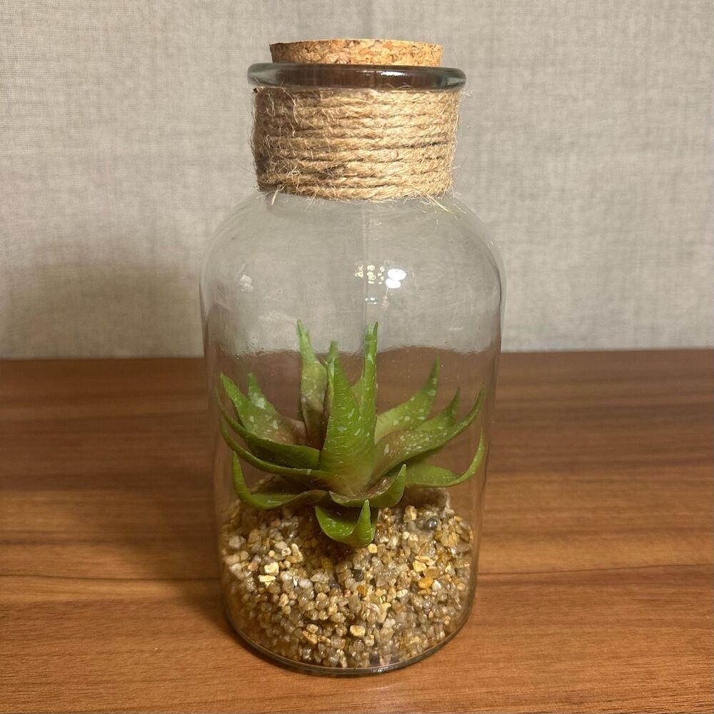 Faux Succulent Plant in Glass Terrarium